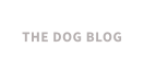 THE DOG BLOG